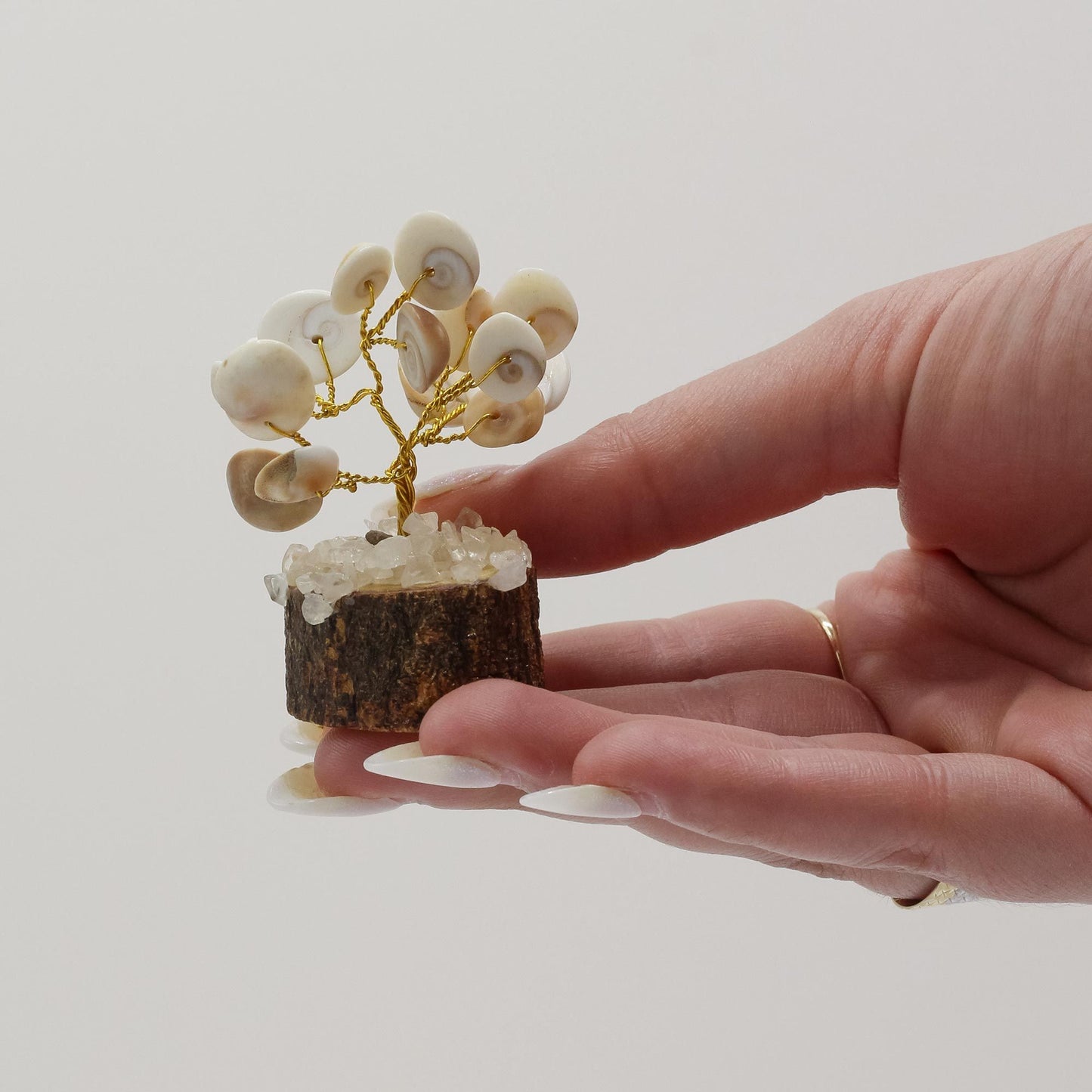 Small Gomati Chakra Circle Stone Tree with Rudraksha - (15 stones)