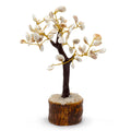 Gomati Chakra Tree - Large