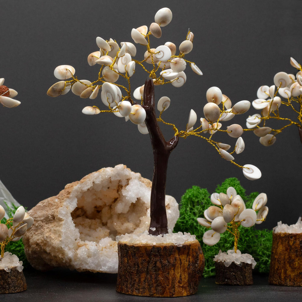 Gomati Chakra Tree - Large