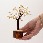 Gomati Chakra Tree - Large