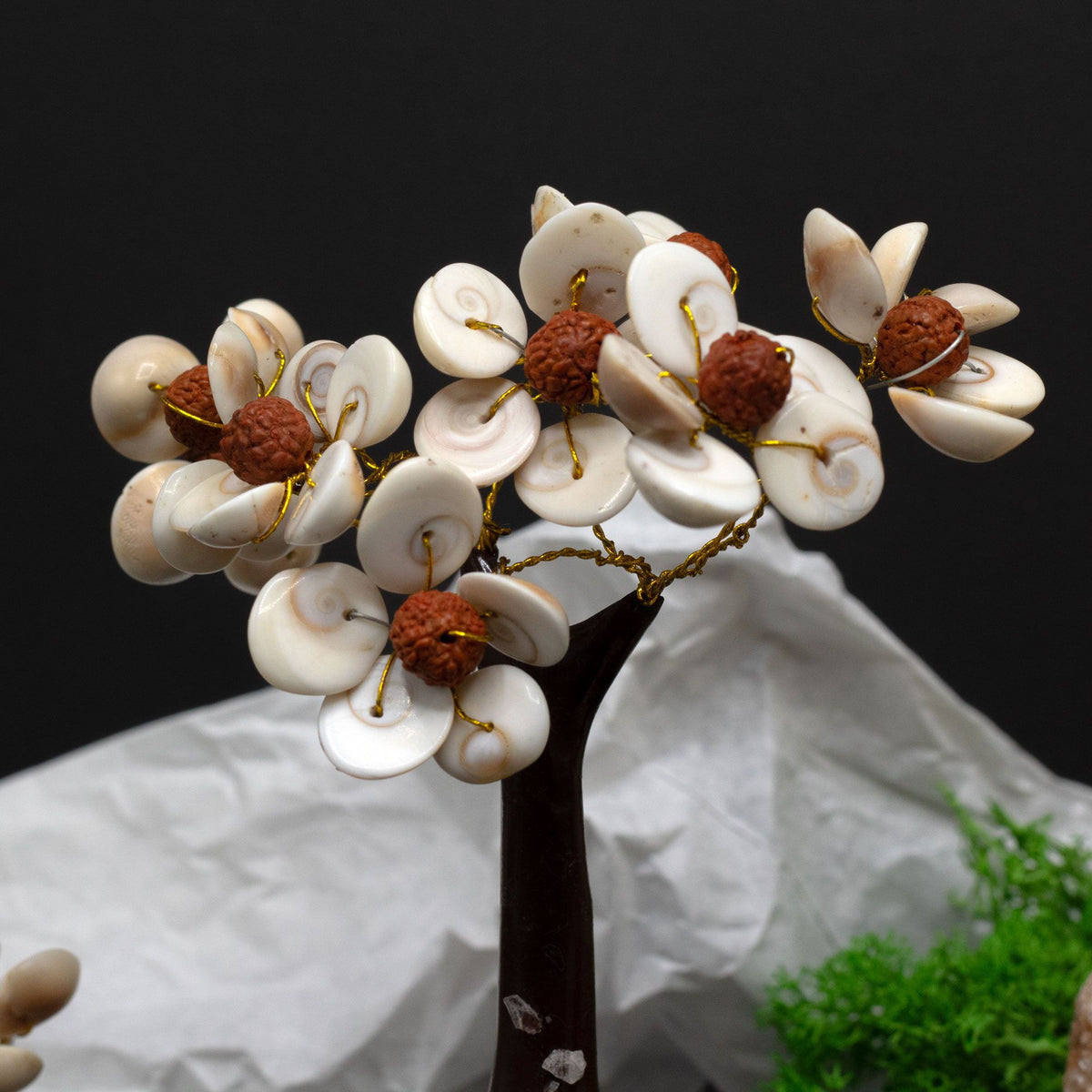 Gomati Chakra Tree with Rudraksha – Medium
