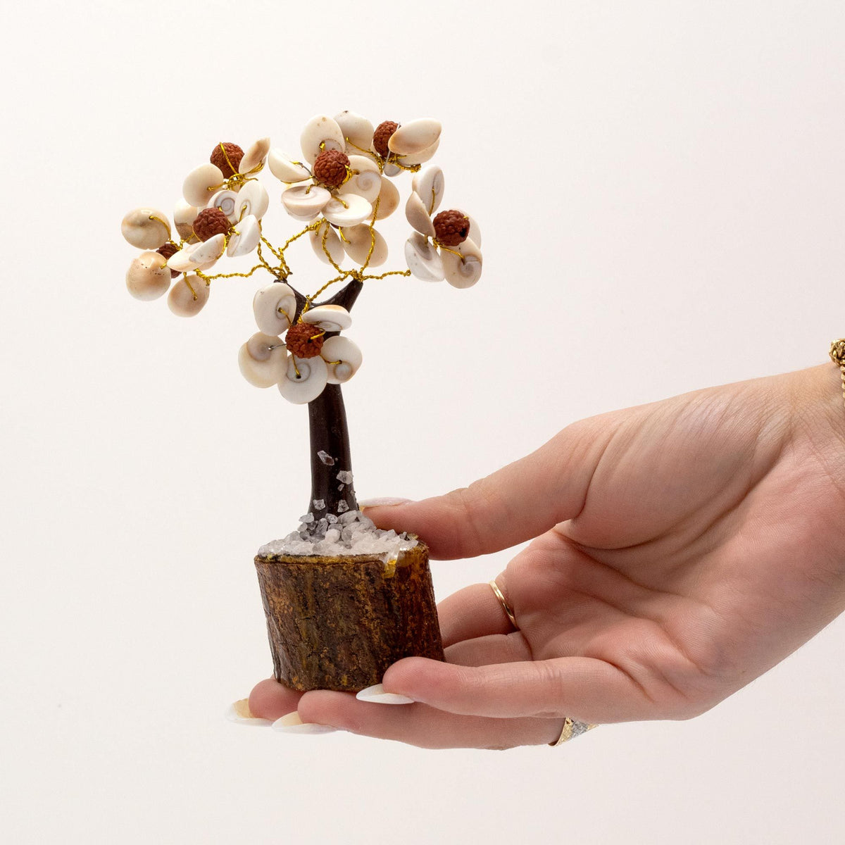 Gomati Chakra Tree with Rudraksha – Medium