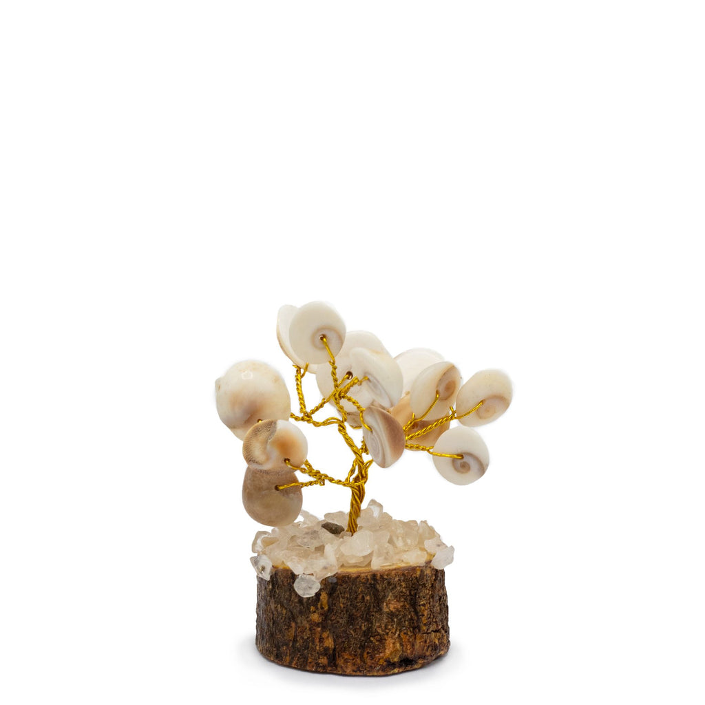 Gomati Chakra Tree with Rudraksha – Small