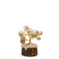 Gomati Chakra Tree with Rudraksha – Small