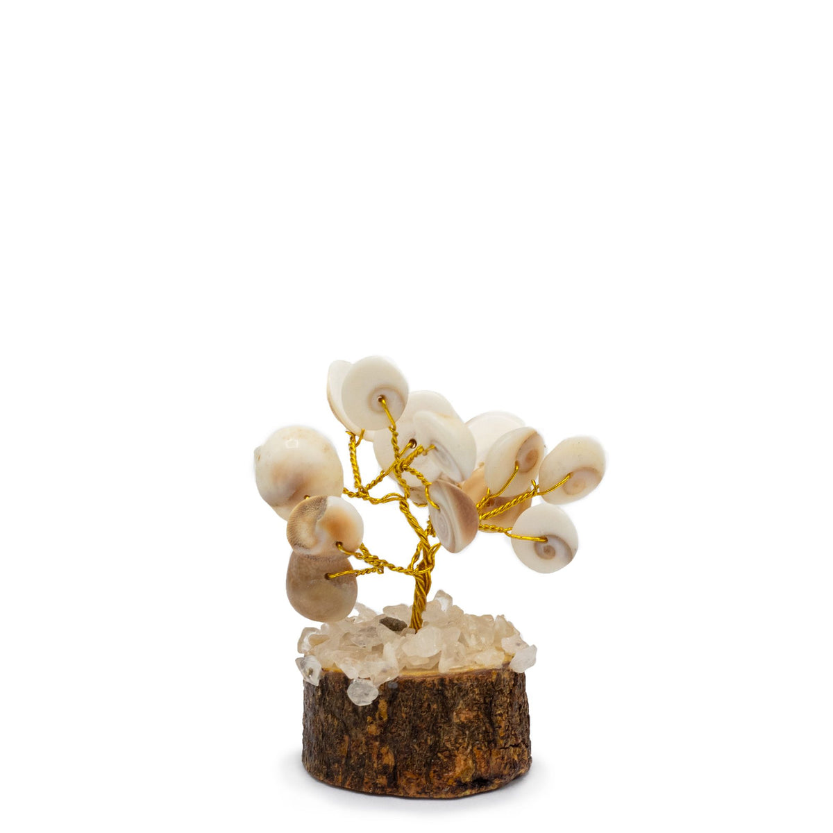 Gomati Chakra Tree with Rudraksha – Small