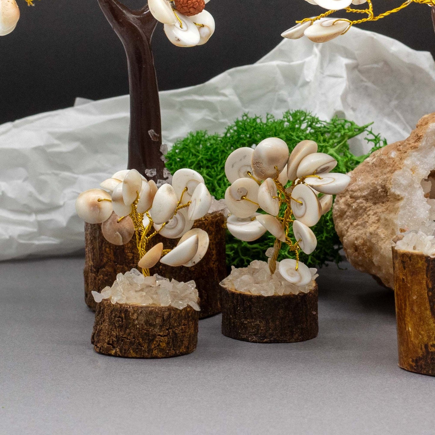 Small Gomati Chakra Circle Stone Tree with Rudraksha - (15 stones)